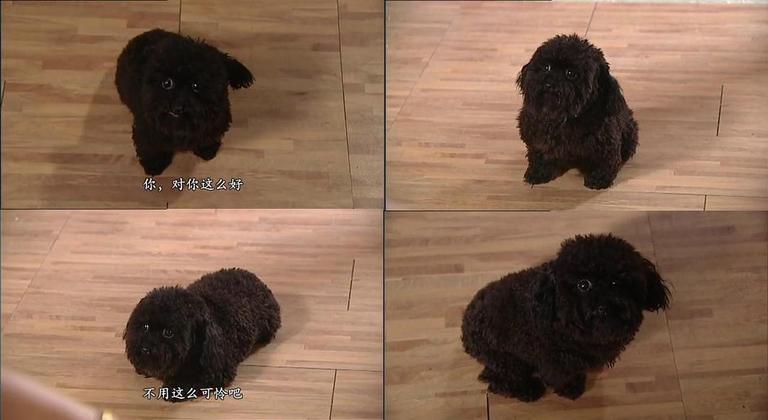 《花花世界花家姐》剧照第42张图片