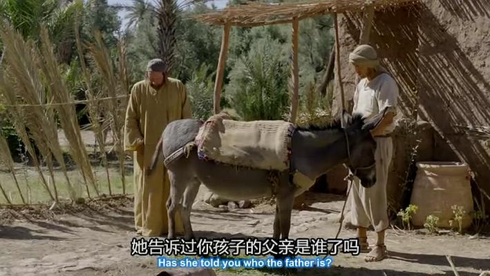 《基督降生记》剧照