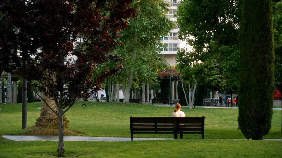 《火炬木小组第四季》海报第24张图片