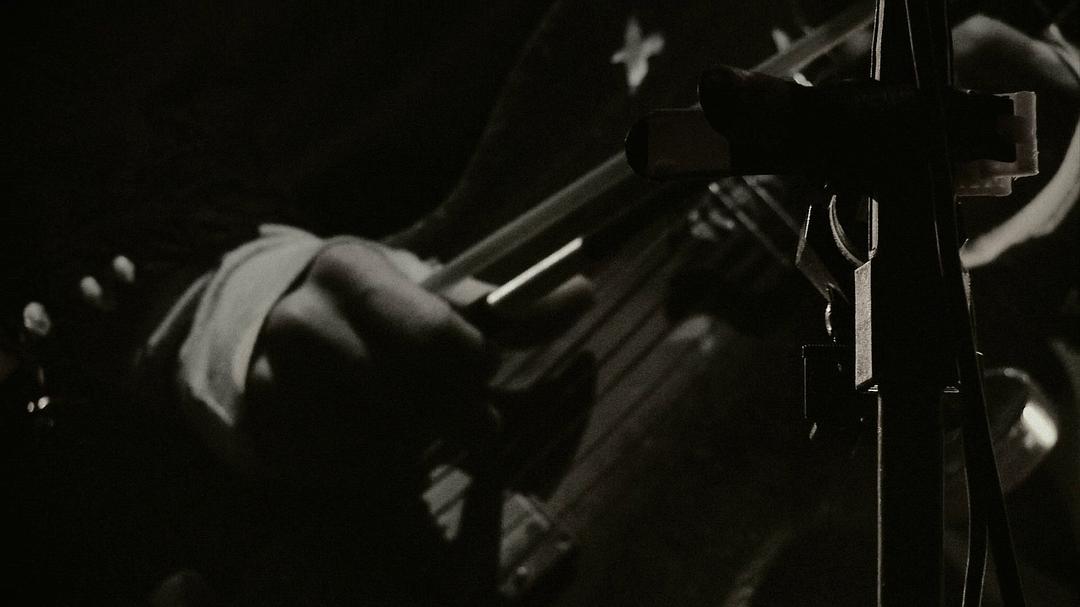 《谜之音》海报第47张图片