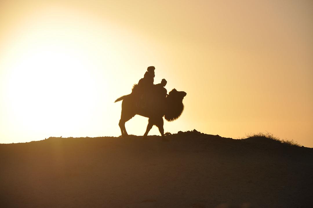 《蓝学校》海报