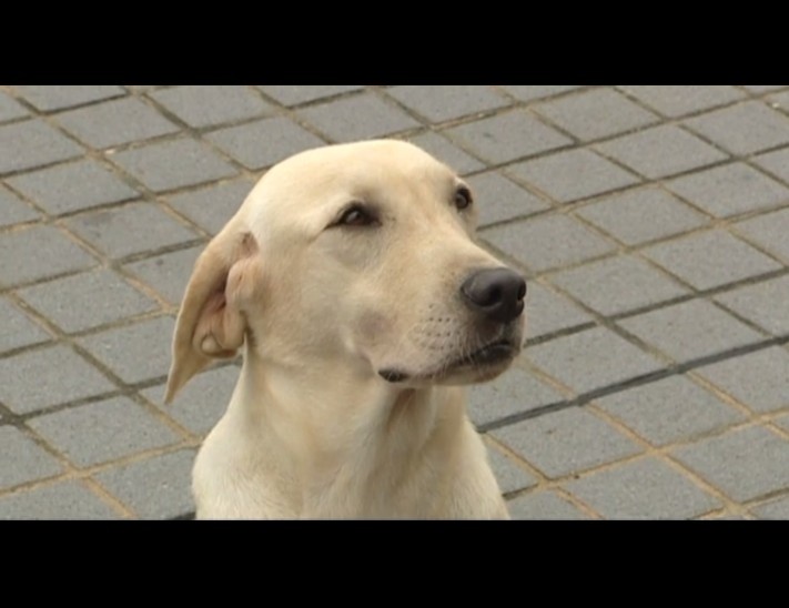 《缺宅男女》剧照第58张图片