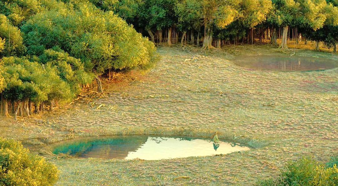 《少年派的奇幻漂流》海报第26张图片