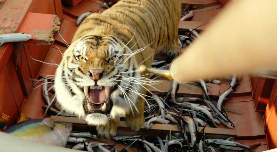 《少年派的奇幻漂流》海报第18张图片