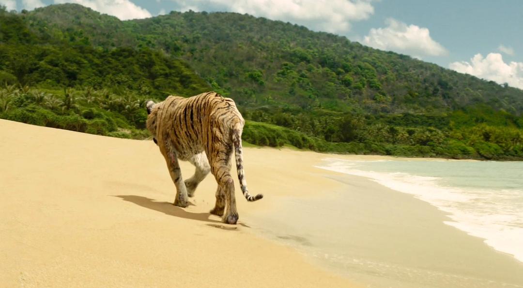 《少年派的奇幻漂流》剧照