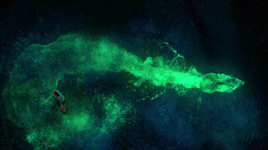 《少年派的奇幻漂流》海报第11张图片