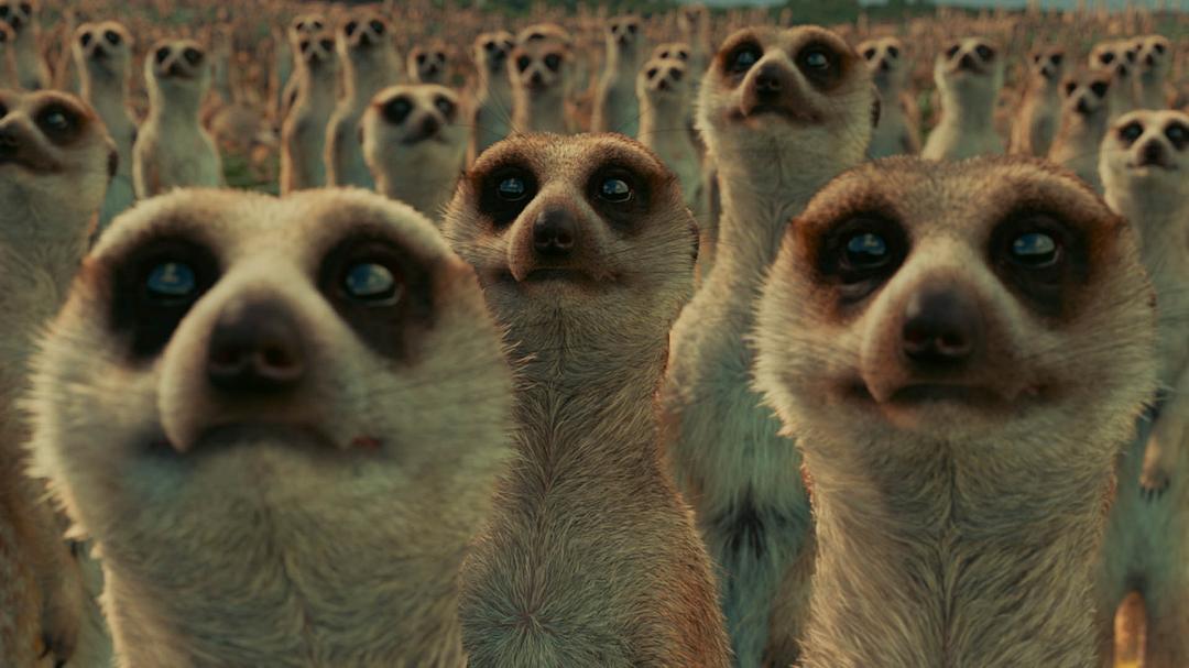 《少年派的奇幻漂流》海报第14张图片