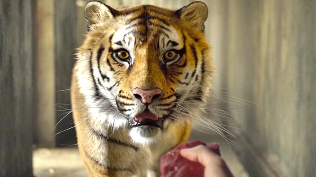 《少年派的奇幻漂流》海报第24张图片