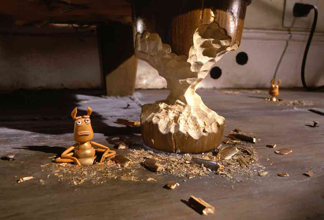 《动物悟语》剧照第3张图片