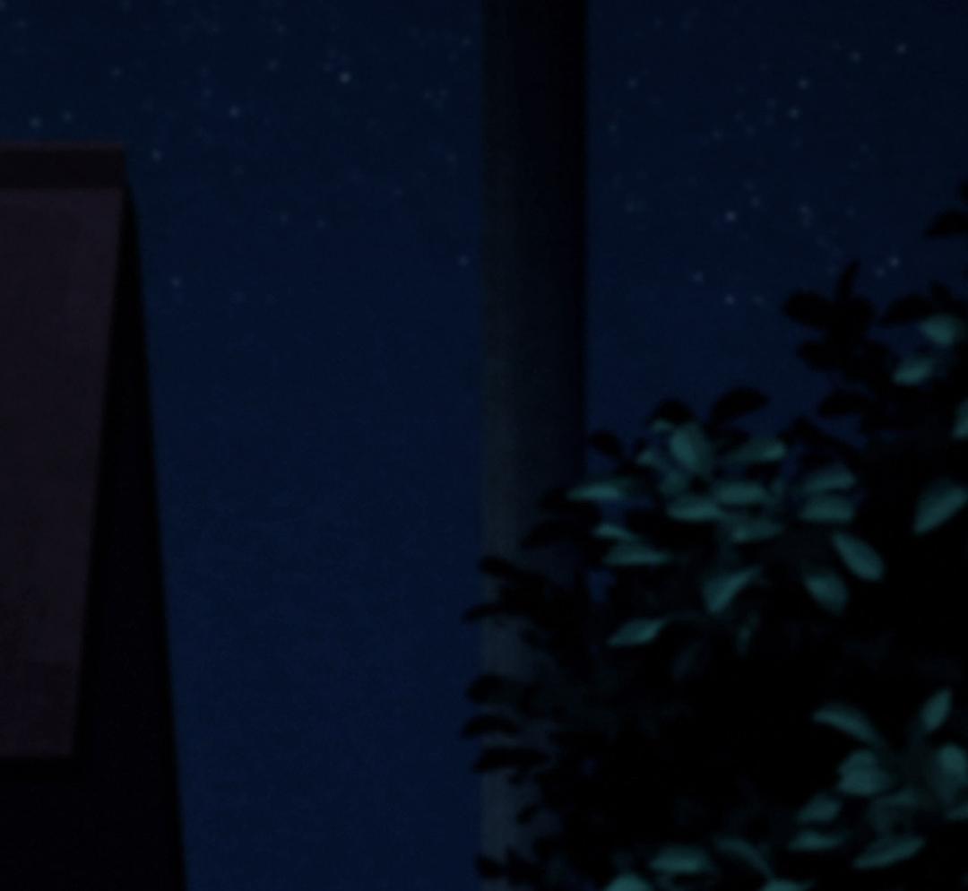 《我们仍未知道那天所看见的花的名字剧场版》海报第38张图片