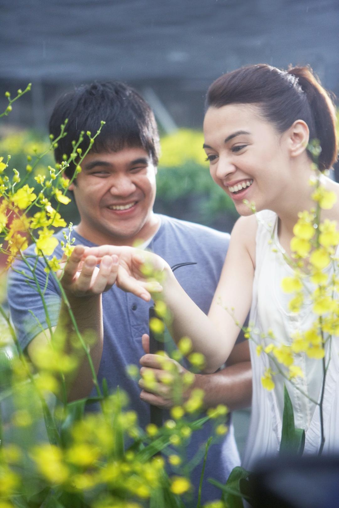 《逆光飞翔》海报