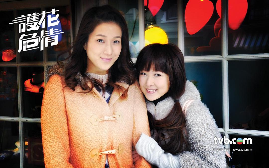 《护花危情》海报第9张图片 《护花危情》海报第9张图片