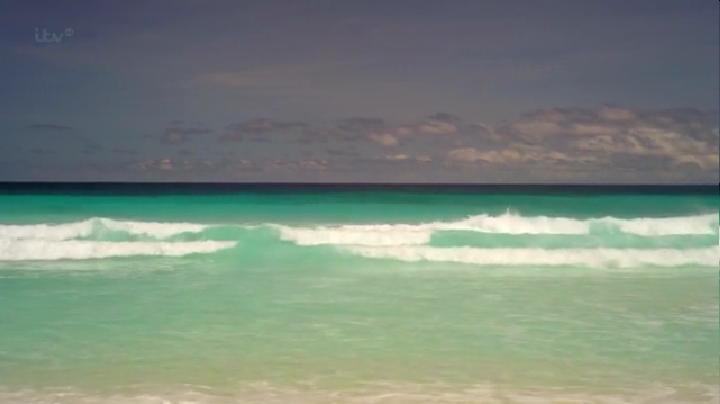 水能冲走一切。