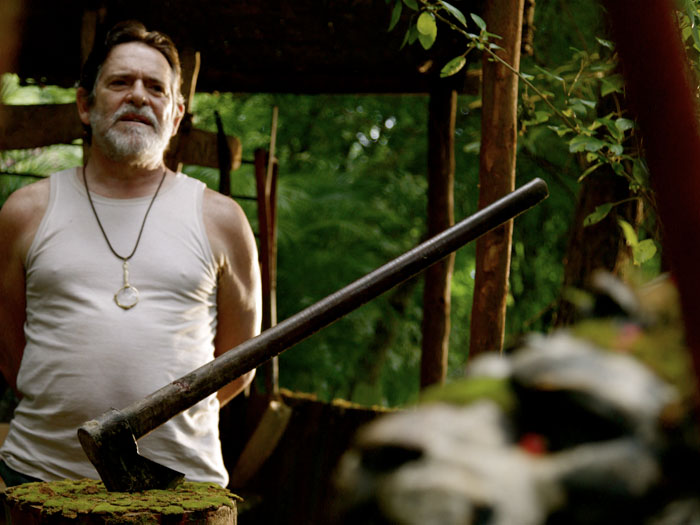 《我亲爱的甜橙树》海报