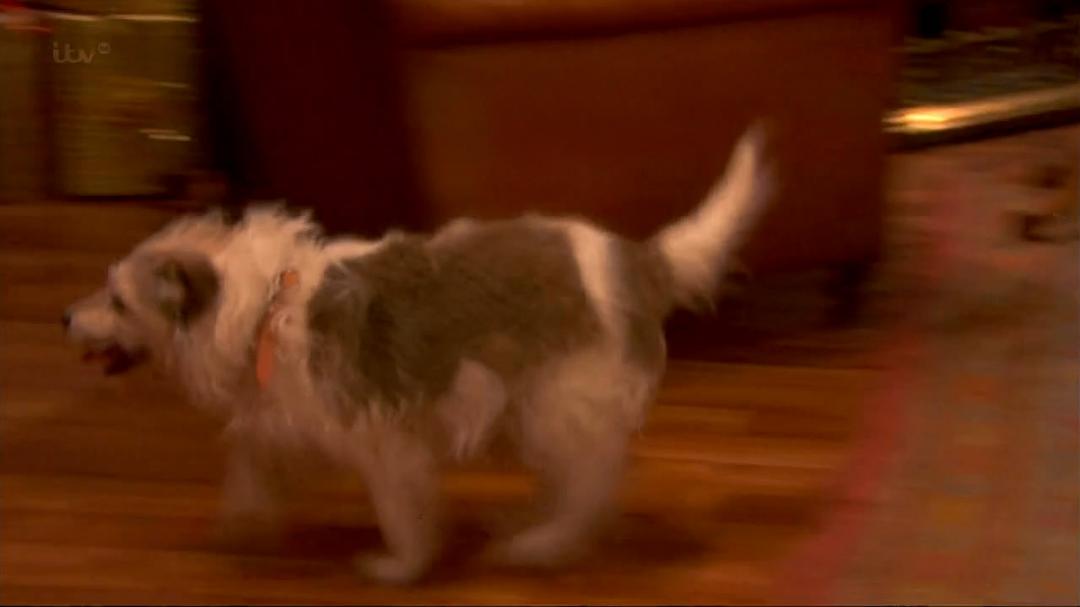 《极品基老伴：2013圣诞特辑》海报第46张图片