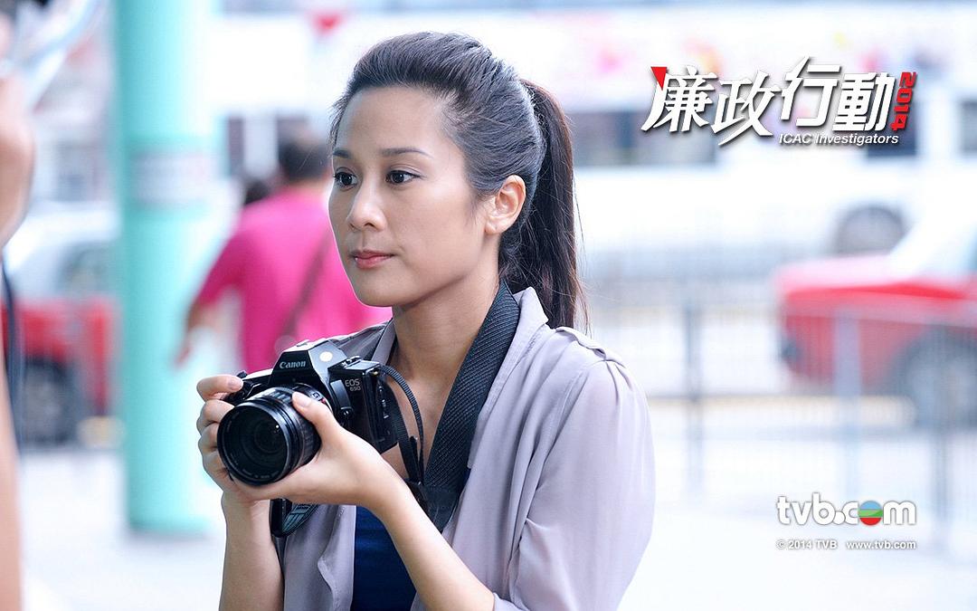 《廉政行动2014》海报第3张图片