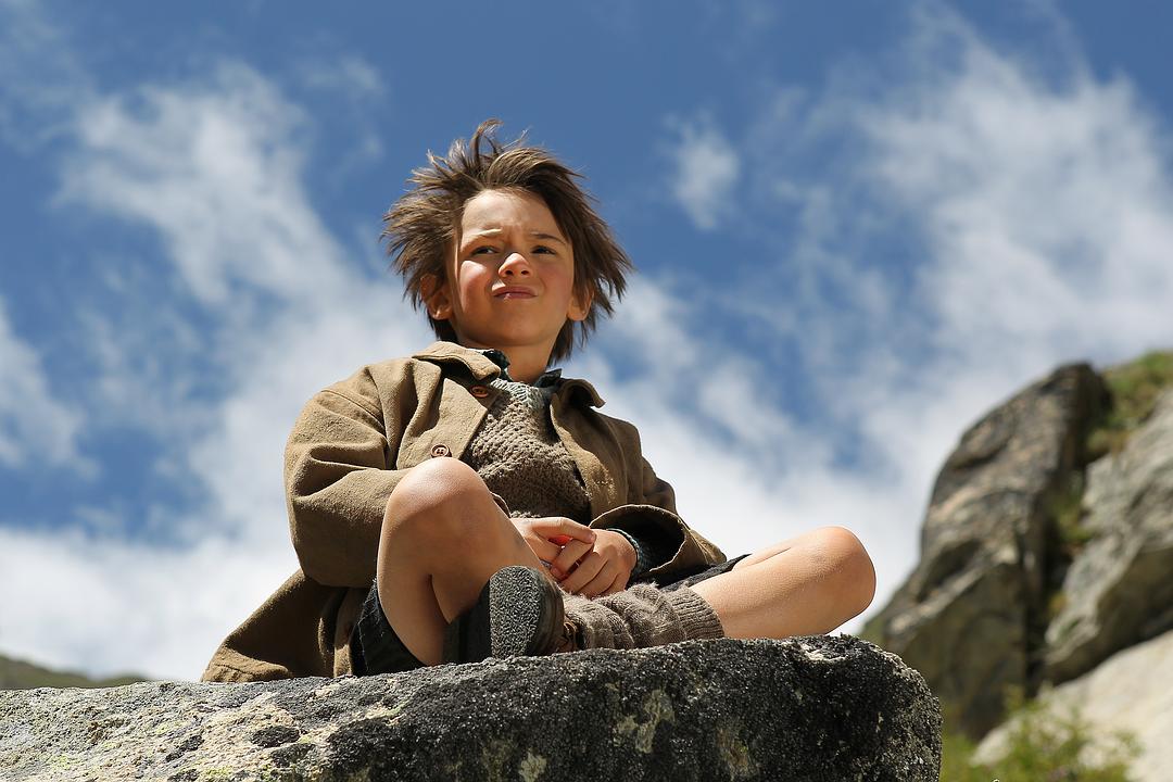 《灵犬雪莉》海报