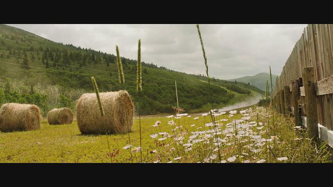 《少年斯派维的奇异旅行》海报第56张图片