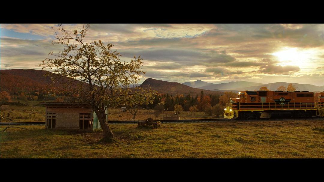 《少年斯派维的奇异旅行》海报第59张图片