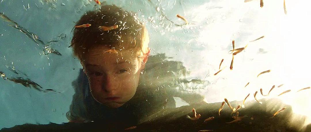 《少年斯派维的奇异旅行》海报第43张图片