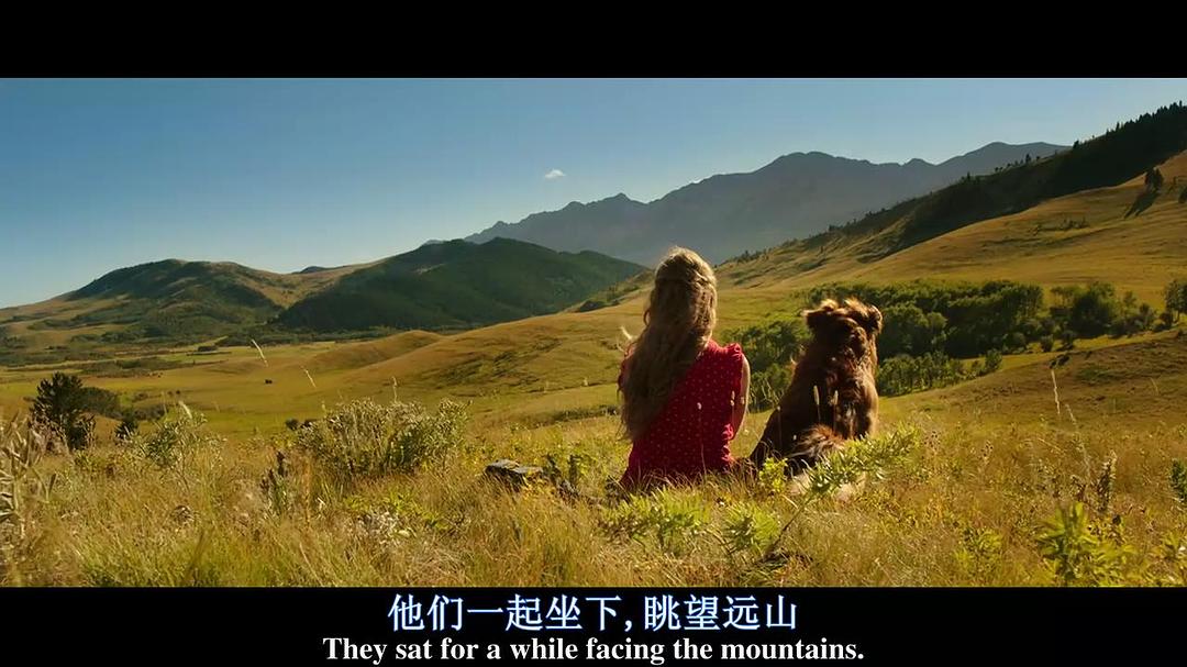 《少年斯派维的奇异旅行》海报第53张图片