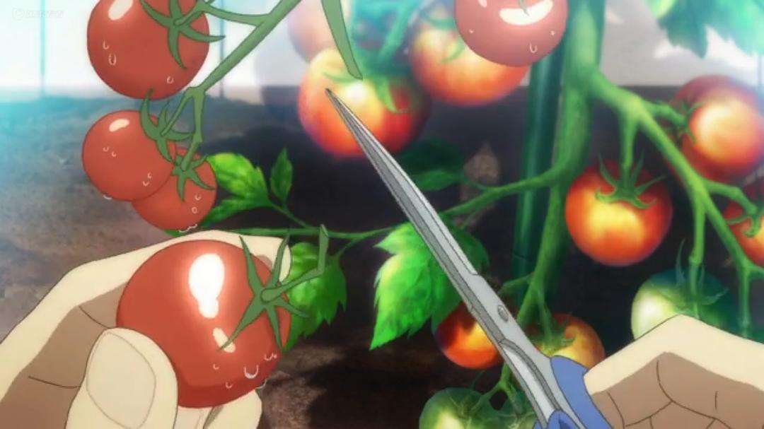 《剧场版魔法少女小圆前篇起始的故事》剧照第52张图片