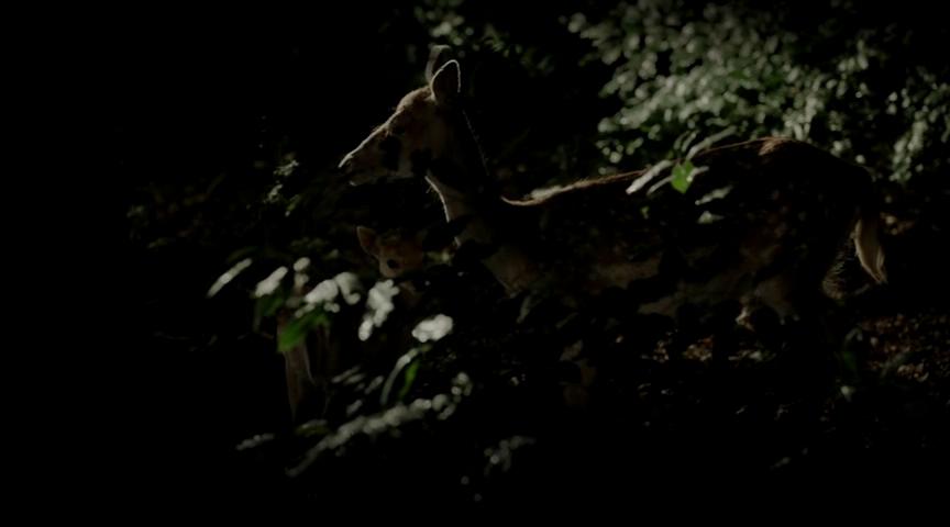 《男孩》剧照第53张图片