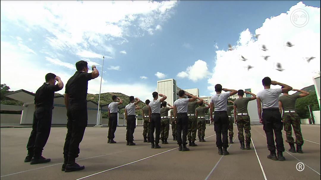 为什么鸽子那么大！