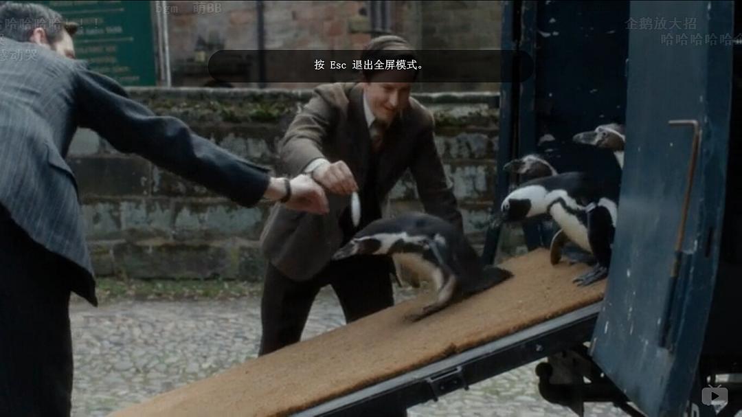 《我们的动物园》剧照第60张图片