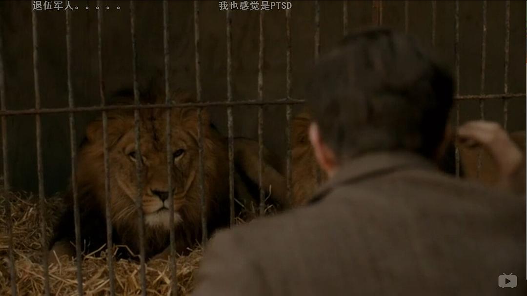 《我们的动物园》剧照第46张图片