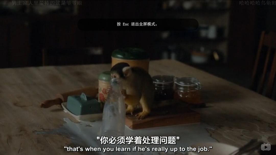 《我们的动物园》剧照第39张图片