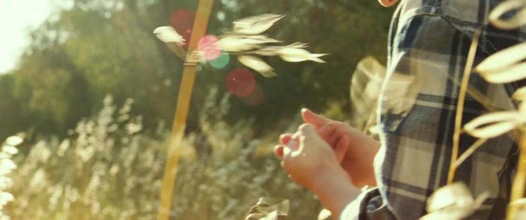 《普罗旺斯的夏天》剧照第60张图片