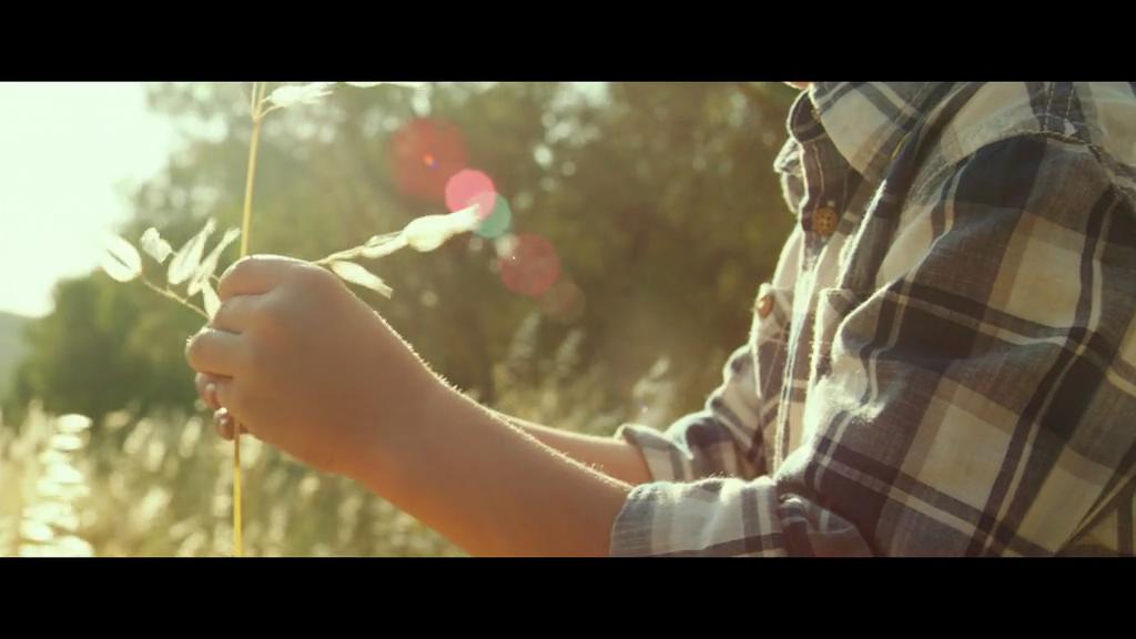 《普罗旺斯的夏天》剧照第44张图片