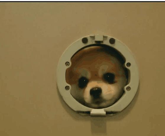 《一起用餐吧2》海报第11张图片