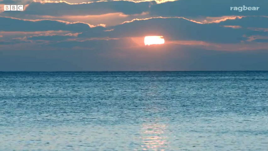 《荒郊疑云第一季》剧照