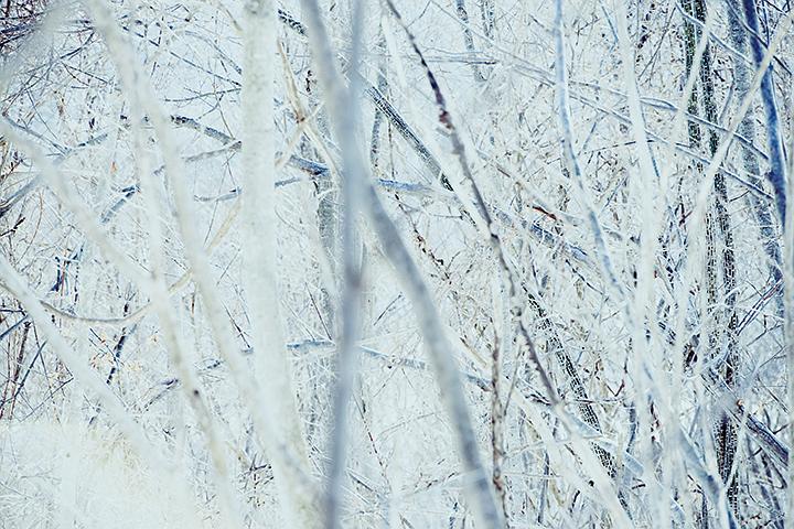 《小森林冬春篇》剧照第27张图片