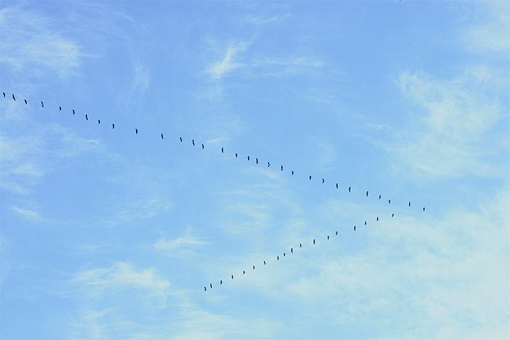 《小森林冬春篇》剧照第13张图片