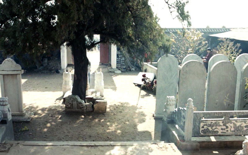 《心迷宫》海报第44张图片