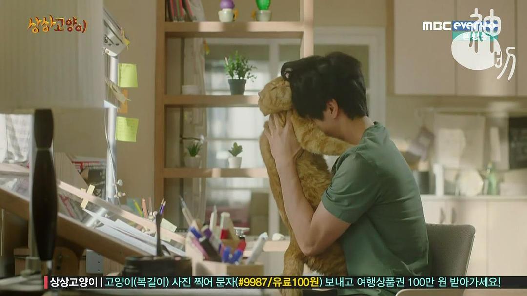 《想象猫》剧照