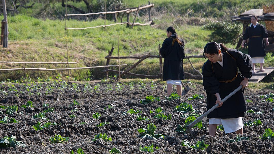 《投靠女与出走男》剧照第27张图片