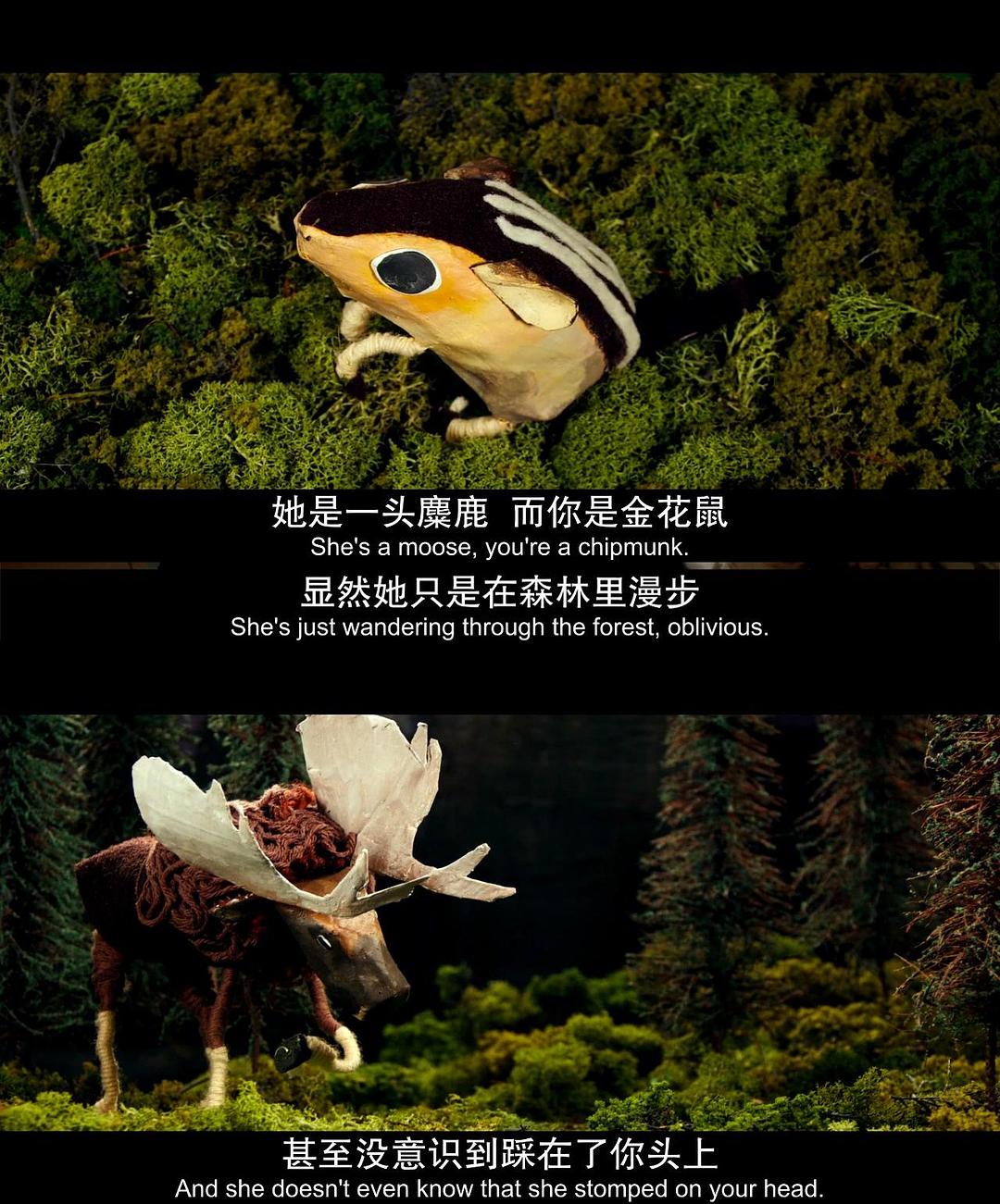 《我和厄尔以及将死的女孩》剧照第27张图片