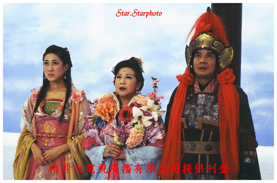 《非常岳母》海报第1张图片