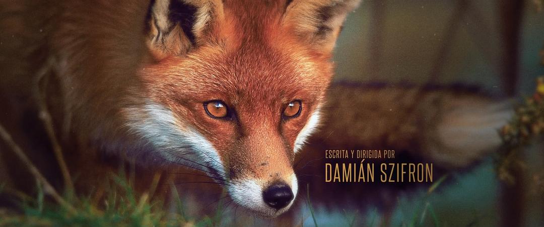 《荒蛮故事》剧照第26张图片