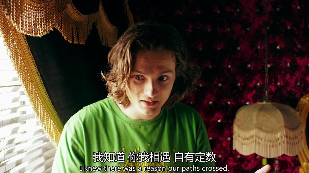 《致幻旅行》海报第21张图片