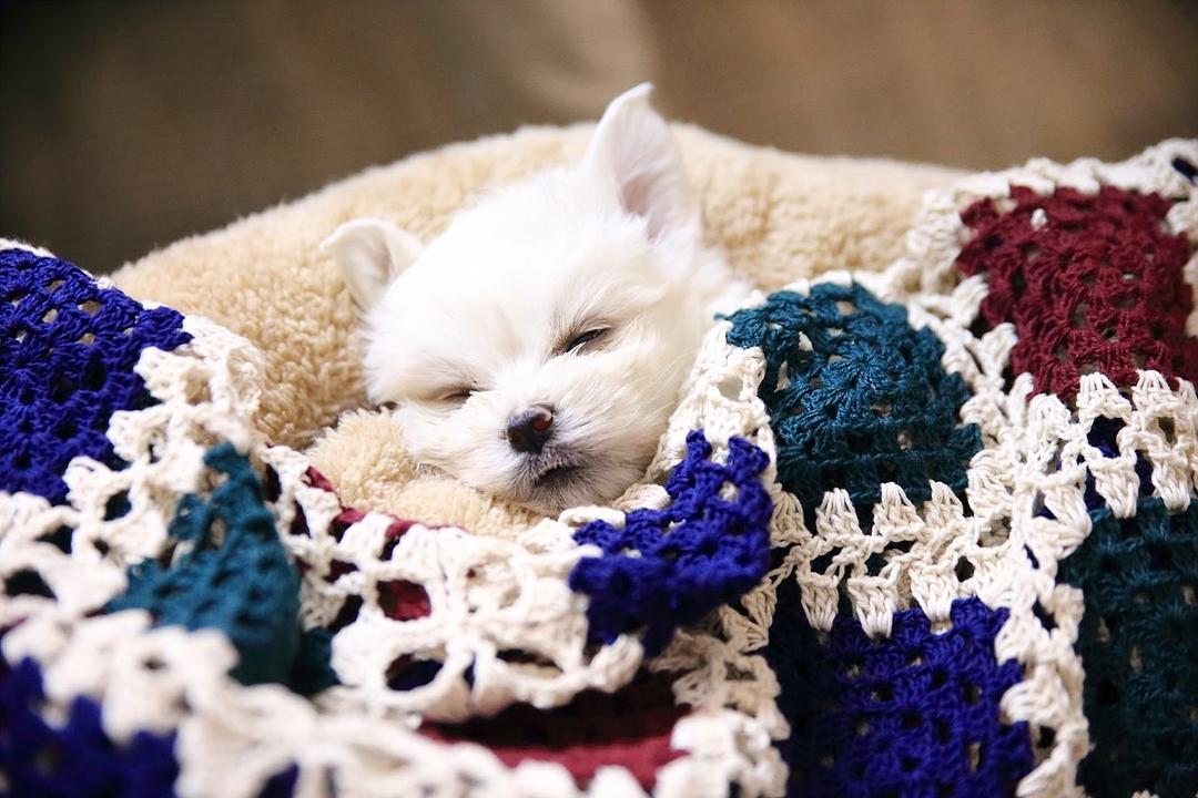 《W-两个世界》剧照第7张图片