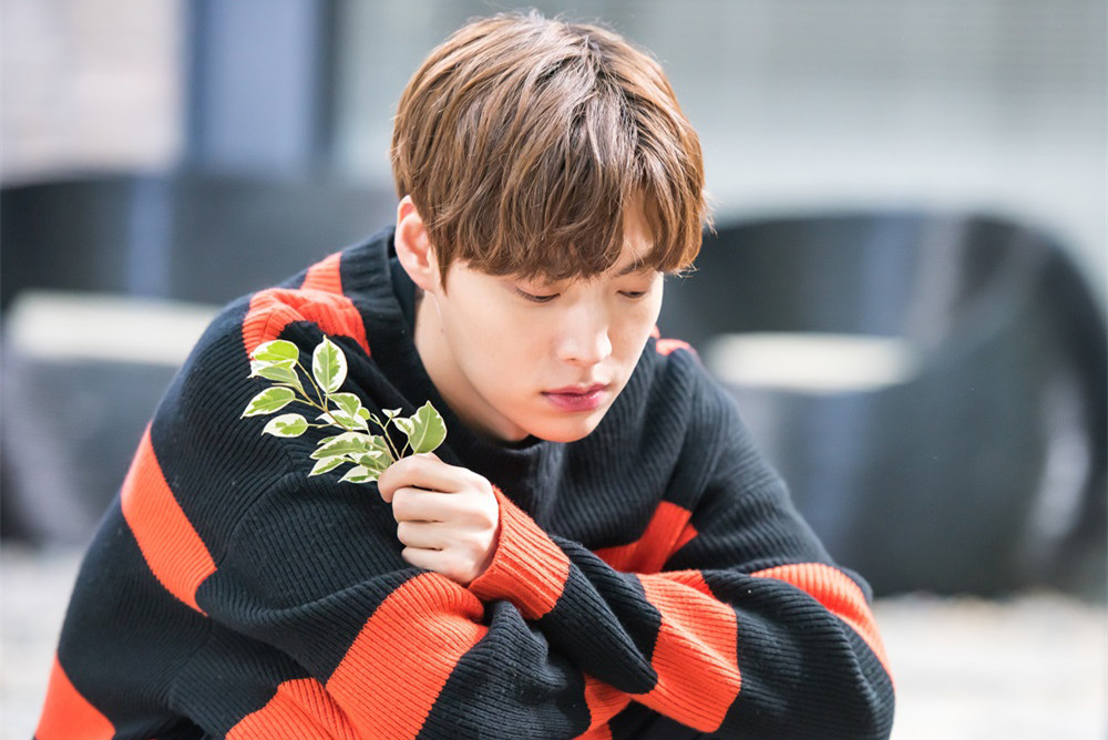 《灰姑娘与四骑士》海报第19张图片