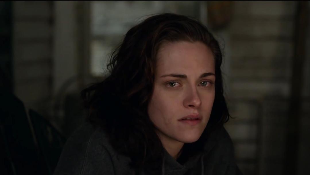 《比利·林恩的中场战事》海报