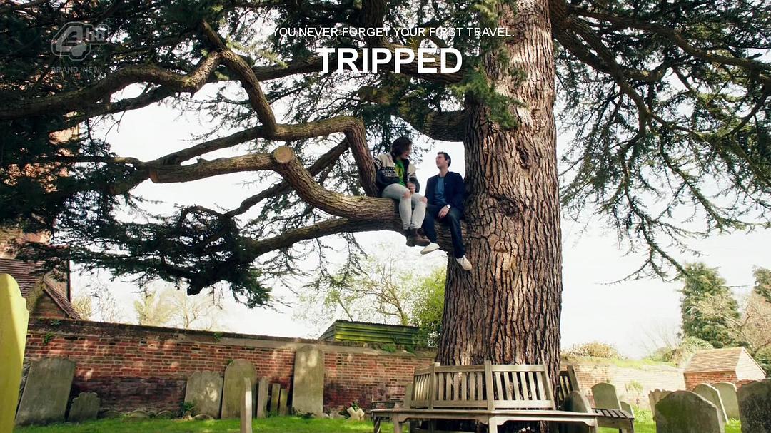 《致幻旅行》剧照