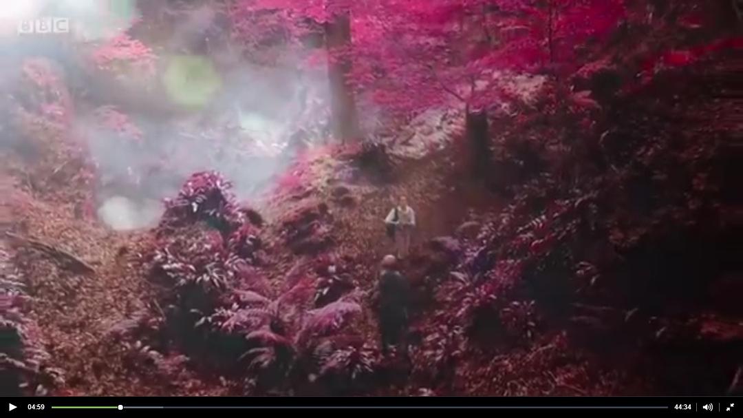 《神秘校园》海报第20张图片