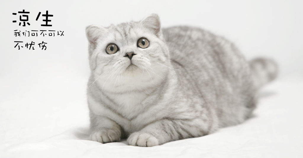 《凉生，我们可不可以不忧伤》剧照